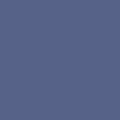 Pigment Navy
